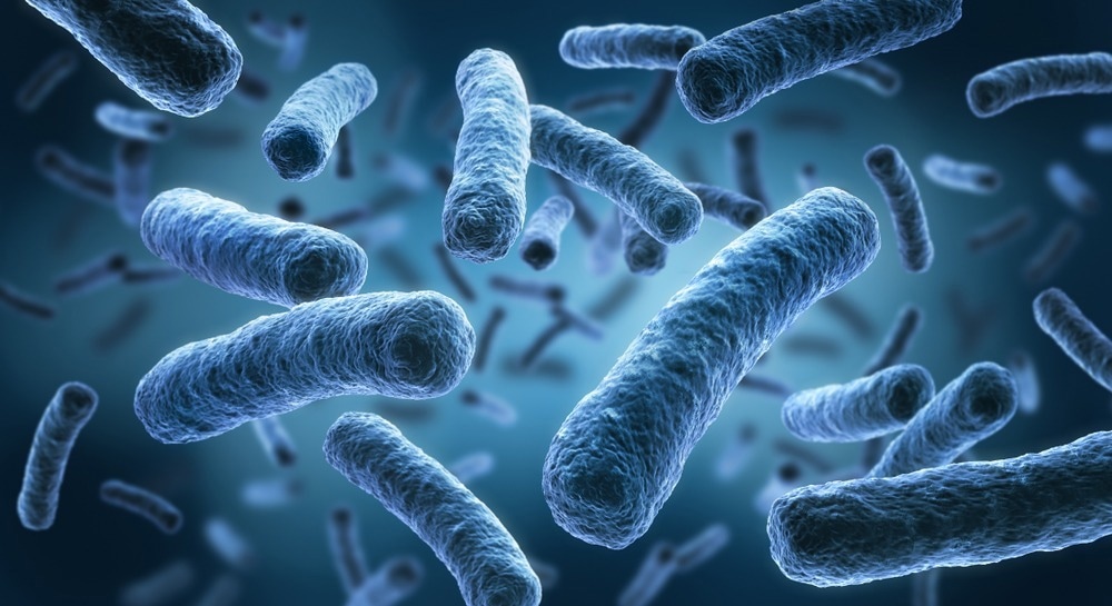 Как Legionella pneumophila может передаваться через систему горячего водоснабжения жилых и офисных зданий?